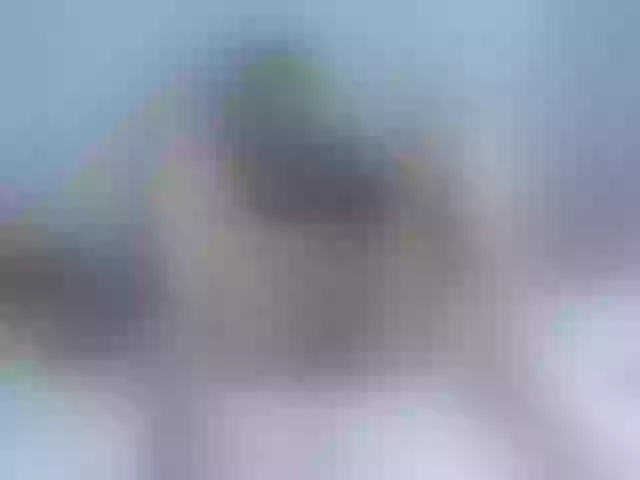 Live sex webcam photo for isabellegree #274267176