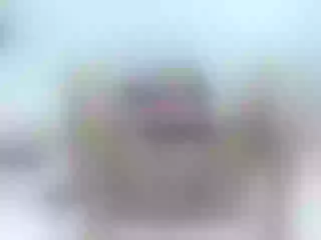 Live sex webcam photo for isabellegree #274289600