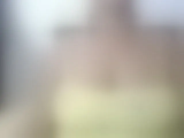 Live sex webcam photo for isabellegree #293860239