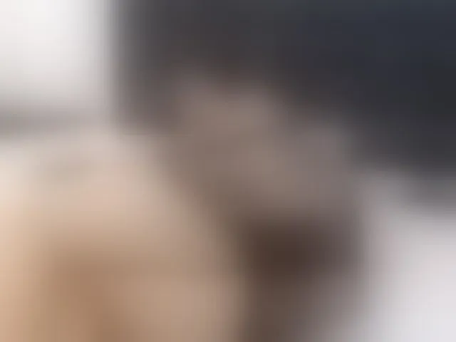 Live sex webcam photo for ivorynoir #291920944