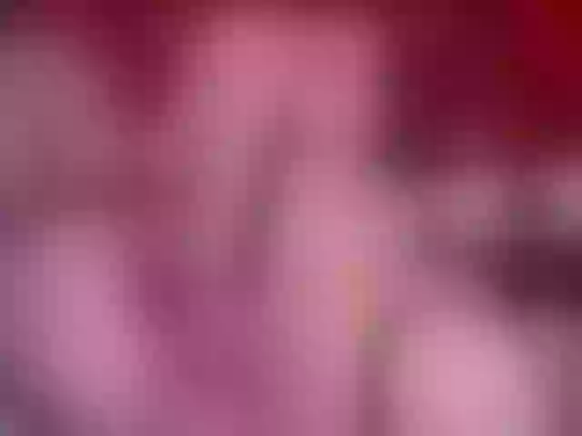 Live sex webcam photo for ivymiller #277427827