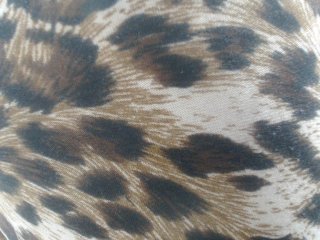 Live sex webcam photo for jadde30 #119113233