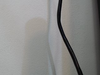 Live sex webcam photo for jadde30 #128480687