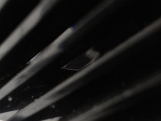 Live sex webcam photo for jadde30 #131832311