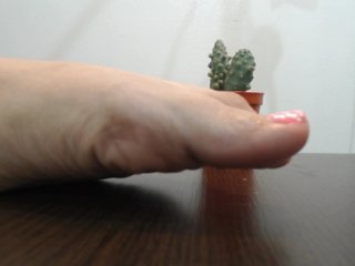 Live sex webcam photo for jadde30 #173882982