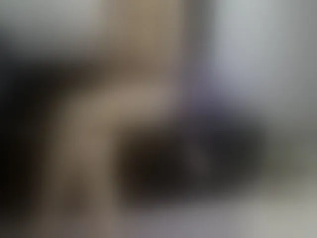 Live sex webcam photo for jamilaross #277060730