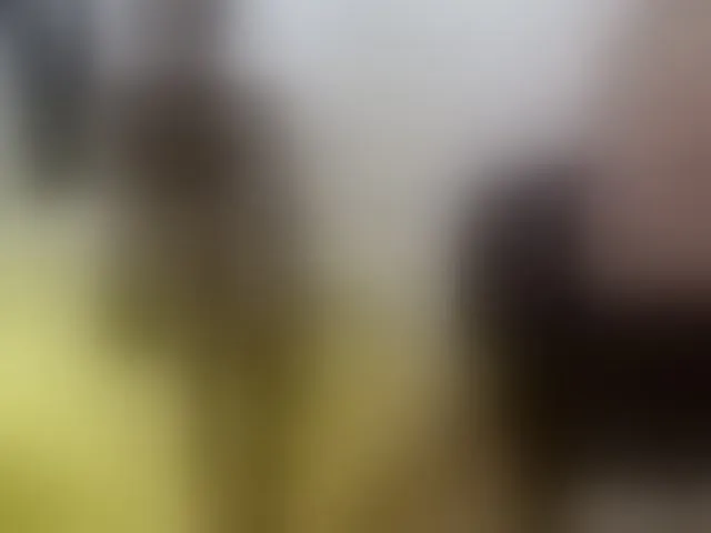 Live sex webcam photo for janxloren #275848880