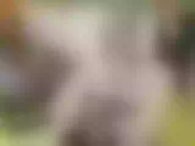 Live sex webcam photo for janxloren #277037860