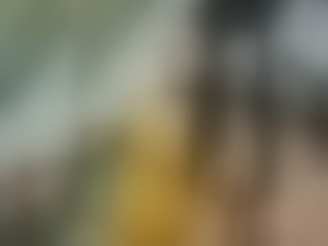 Live sex webcam photo for jasmin08 #294099448