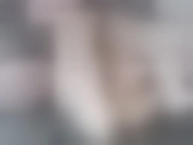Live sex webcam photo for jasminehotgir #275564124