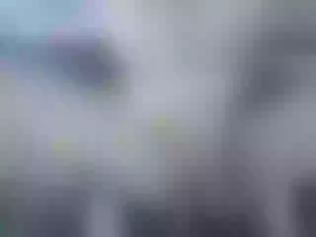 Live sex webcam photo for jasminehotgir #277054841