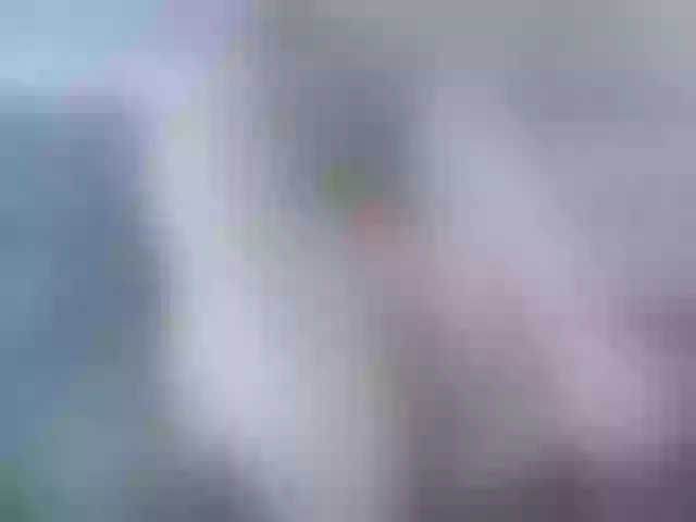 Live sex webcam photo for jasminehotgir #277106460
