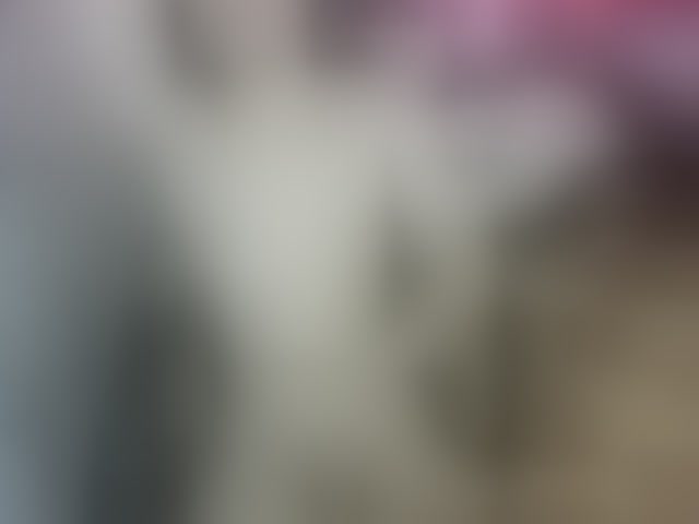 Live sex webcam photo for jay-orange #292511107