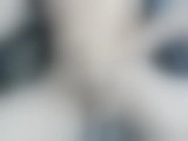 Live sex webcam photo for jay-orange #293129008