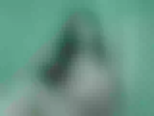 Live sex webcam photo for jeenn3 #272658503