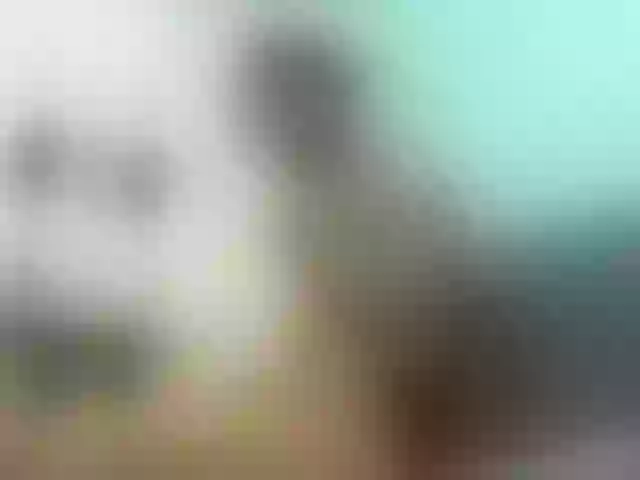 Live sex webcam photo for jeilerth #277664537