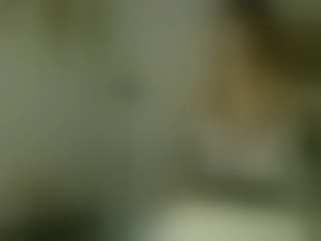Live sex webcam photo for jennahshampoo #293806122