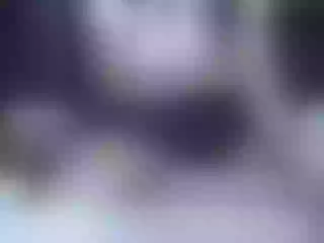 Live sex webcam photo for jenniella #292040878