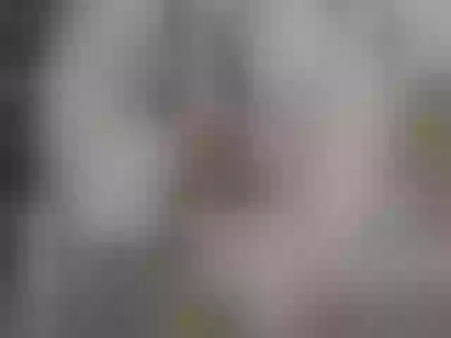 Live sex webcam photo for jessica-angel #277827193