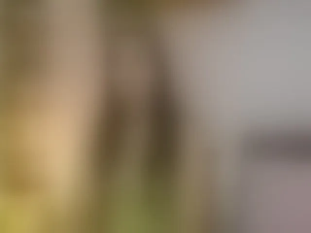 Live sex webcam photo for jessieAngel #293917446