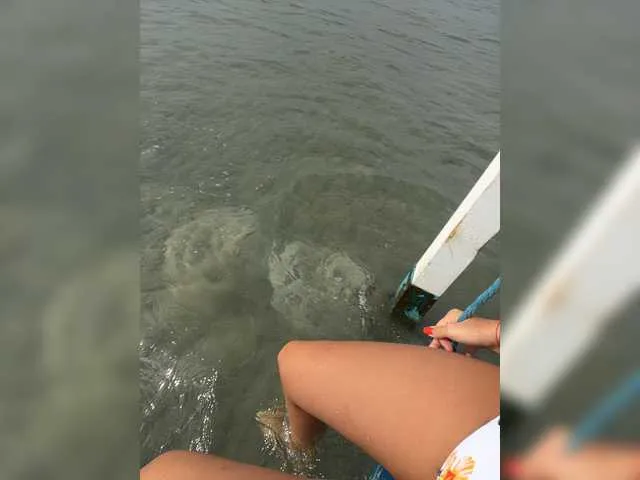 Live sex webcam photo for jessykm123 #274162912