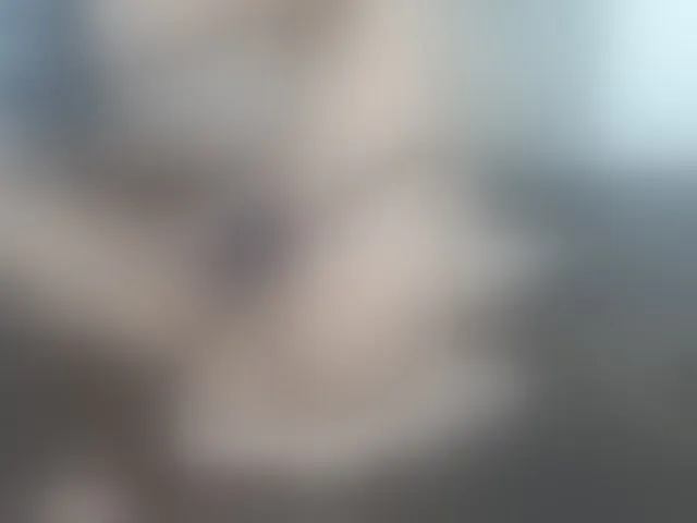 Live sex webcam photo for jhonnyyk #291251601