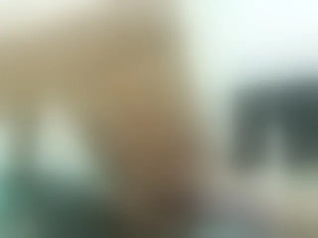 Live sex webcam photo for jhonnyyk #293129360
