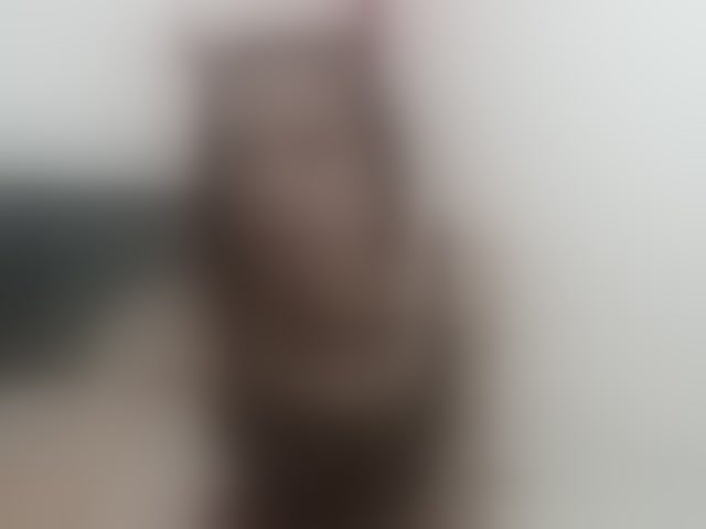 Live sex webcam photo for jhonnyyk #294019579