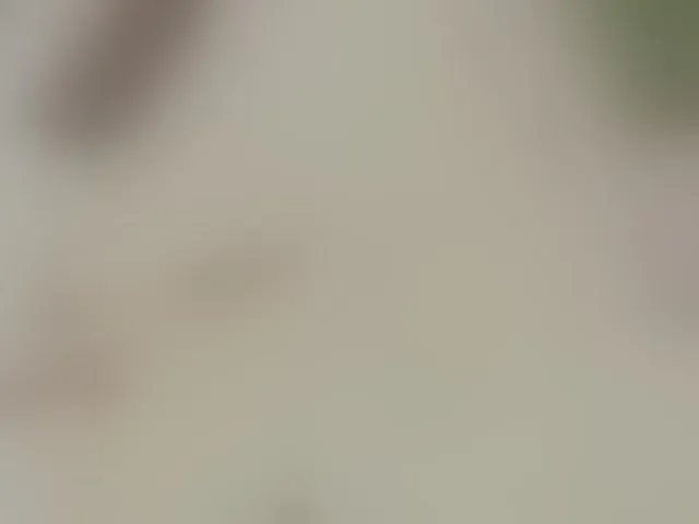 Live sex webcam photo for jhoxy-m #293138655