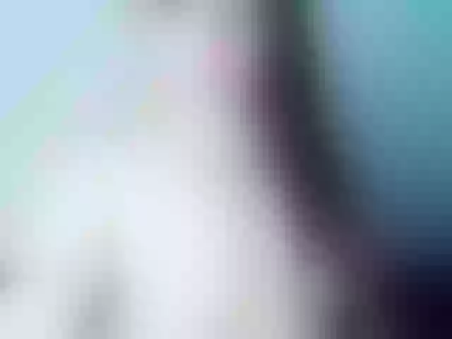 Live sex webcam photo for jimenacolinss #272436660