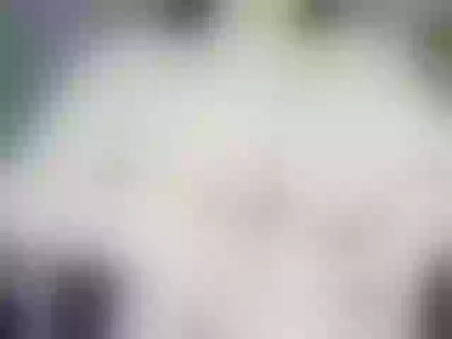 Live sex webcam photo for jiyounghee #277074488