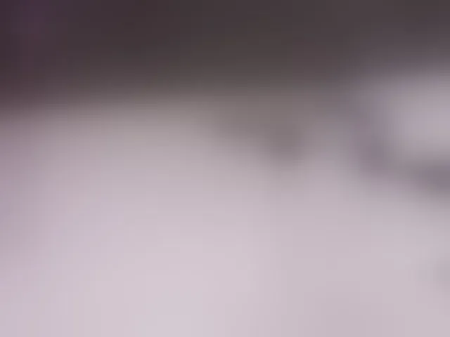 Live sex webcam photo for jolly-dolly #293973206
