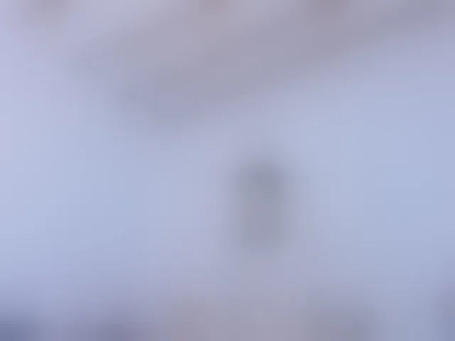Live sex webcam photo for joregenarvaez #293504418