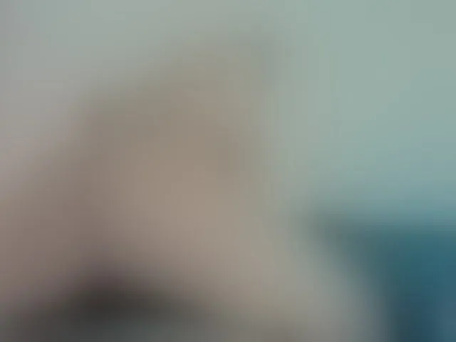 Live sex webcam photo for joregenarvaez #293667782