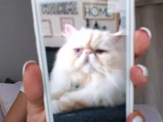 Live sex webcam photo for juanita-fox #170007398