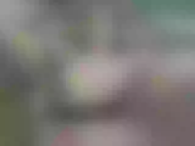 Live sex webcam photo for juicy-peachh #275956849