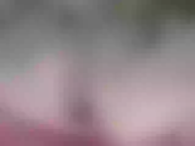 Live sex webcam photo for juliesquirts #291352068