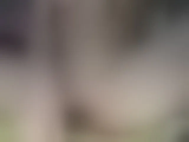 Live sex webcam photo for juliesquirts #292486194