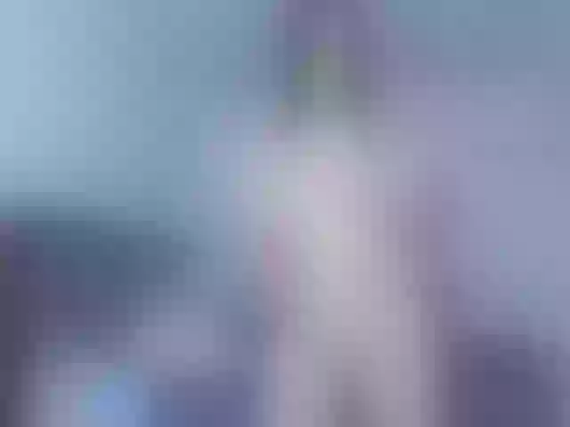 Live sex webcam photo for jump-rabbit- #292125234