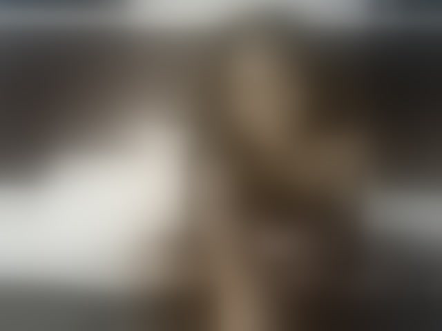 Live sex webcam photo for karmakalifa #294021625