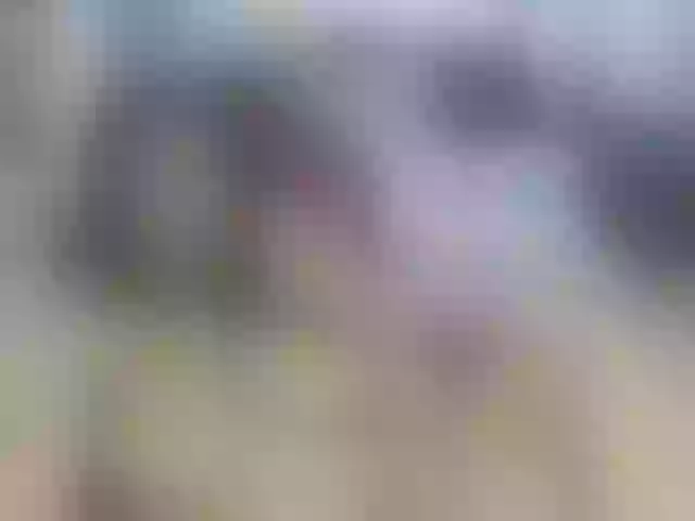Live sex webcam photo for karo-bigboobs #274266579