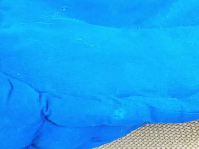 Live sex webcam photo for karo131324 #275558279