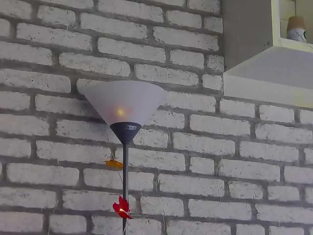 Live sex webcam photo for karo131324 #276224624