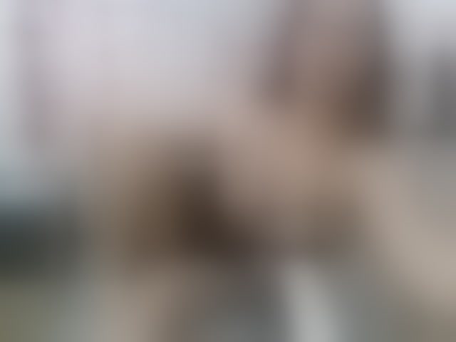 Live sex webcam photo for karo2829 #294244936