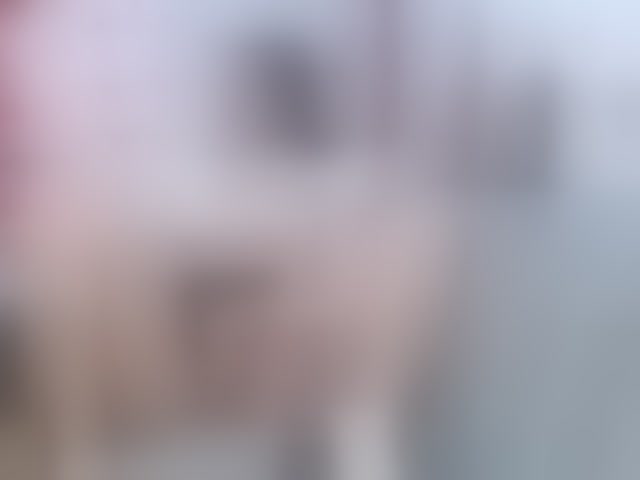 Live sex webcam photo for karo2829 #294311683