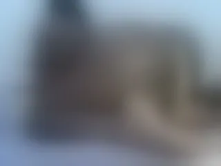 Live sex webcam photo for karolebony1 #120918104