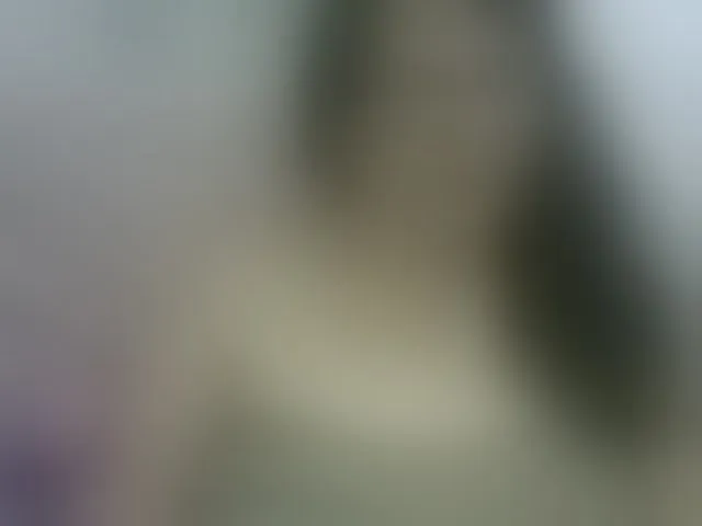 Live sex webcam photo for kassandra02 #293922561