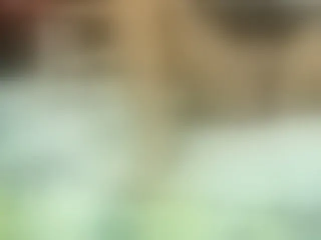 Live sex webcam photo for kataleyaSmith #276028967