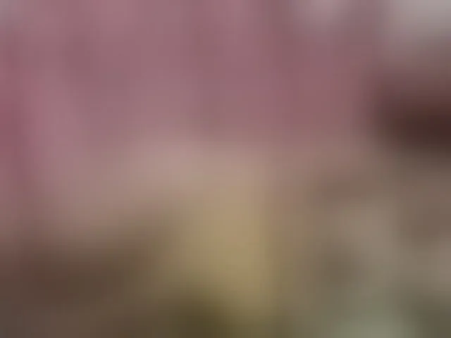 Live sex webcam photo for kate302 #293356019