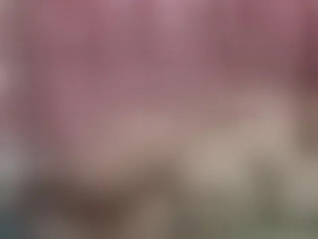 Live sex webcam photo for kate302 #293626585